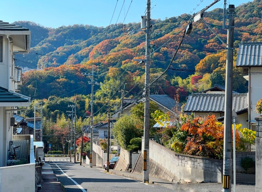 牛田山